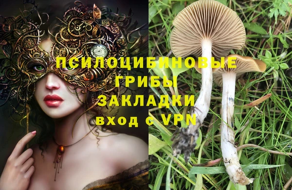 ГАЛЛЮЦИНОГЕННЫЕ ГРИБЫ Богданович