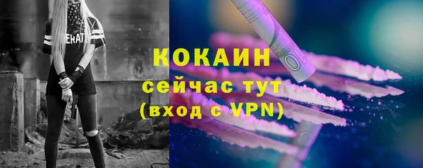 мдпв Богородск