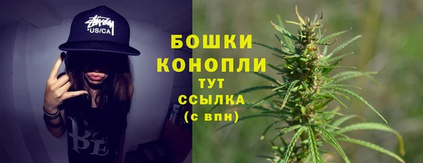 мдпв Богородск