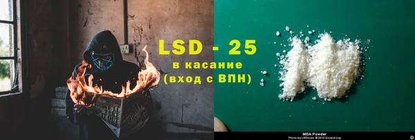 ГАЛЛЮЦИНОГЕННЫЕ ГРИБЫ Богданович