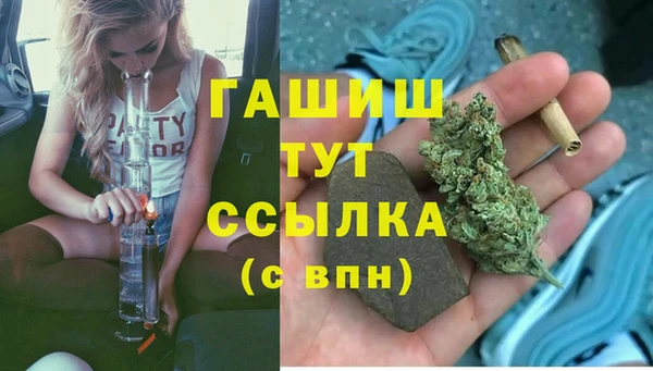 ГАЛЛЮЦИНОГЕННЫЕ ГРИБЫ Богданович