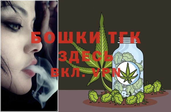 гашик Сосновый Бор
