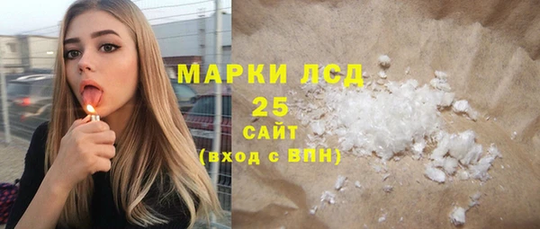 ГАЛЛЮЦИНОГЕННЫЕ ГРИБЫ Богданович