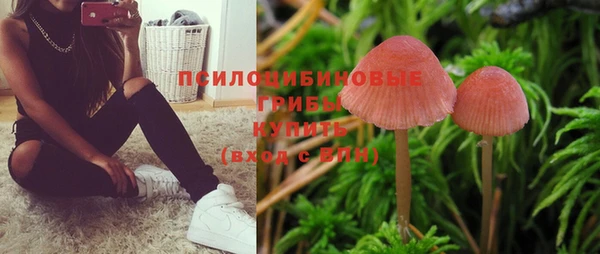 мяу мяу мука Богородицк