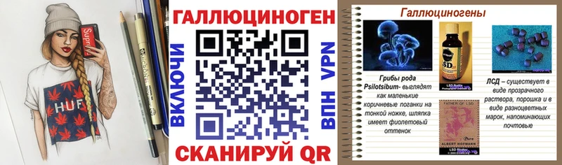 закладка Красноармейск Галлюциногенные грибы Cubensis